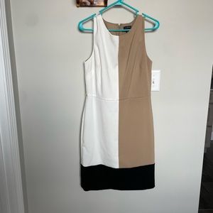 The Limited Size 8 Color Block Dress